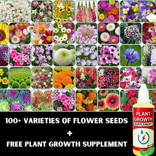 100+ Variety Premium Flower Seeds (Pack of 100) And a FREE Plant Growth Supplement